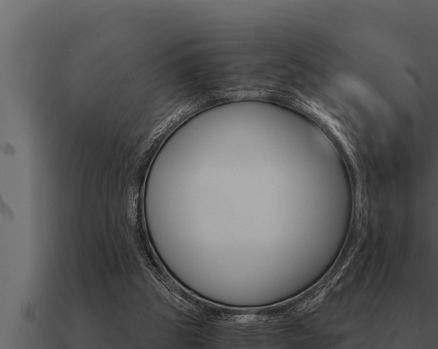 X0000091100153200708061030