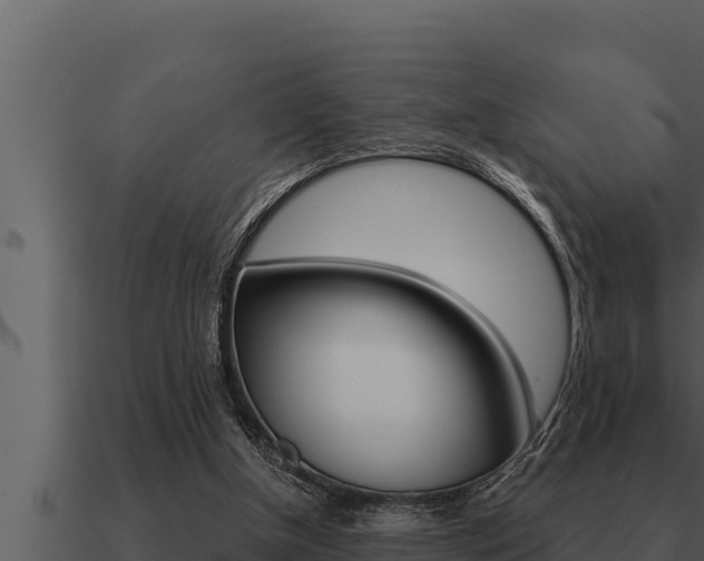 X0000091100154200708061030