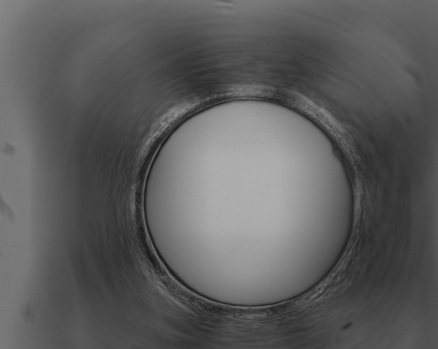 X0000091100155200708061030