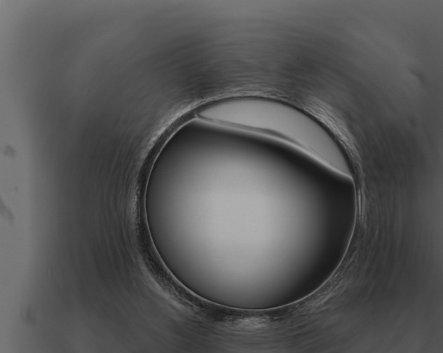 X0000091100156200708061030