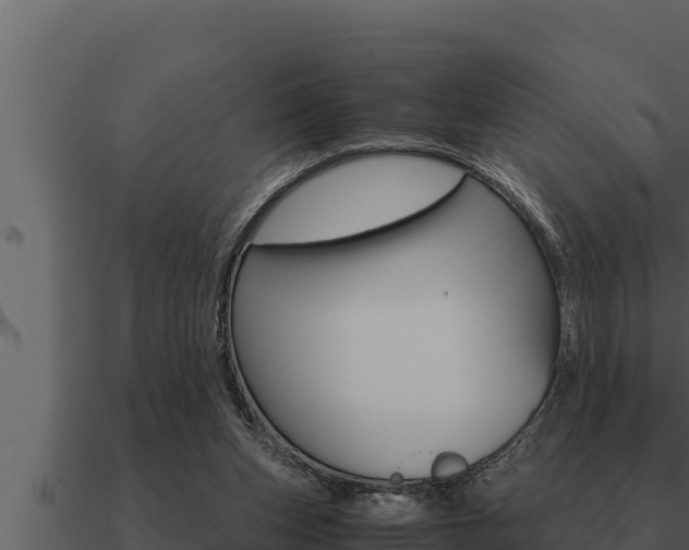 X0000091100159200708061030