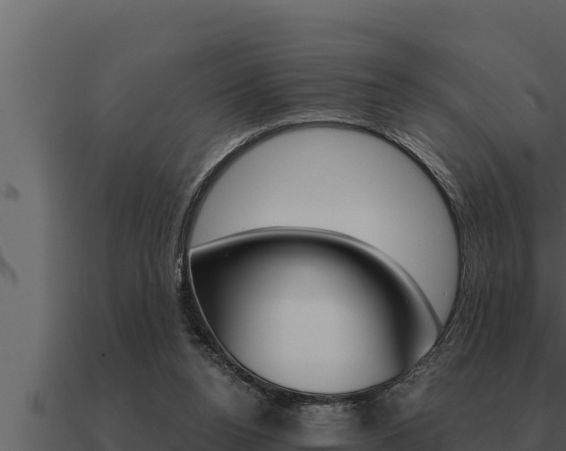 X0000091100160200708061030