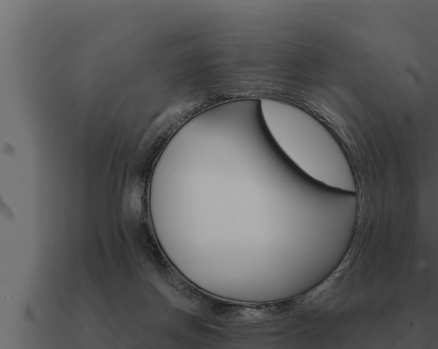 X0000091100166200708061030