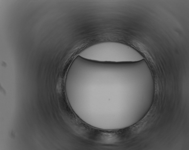 X0000091100167200708061030