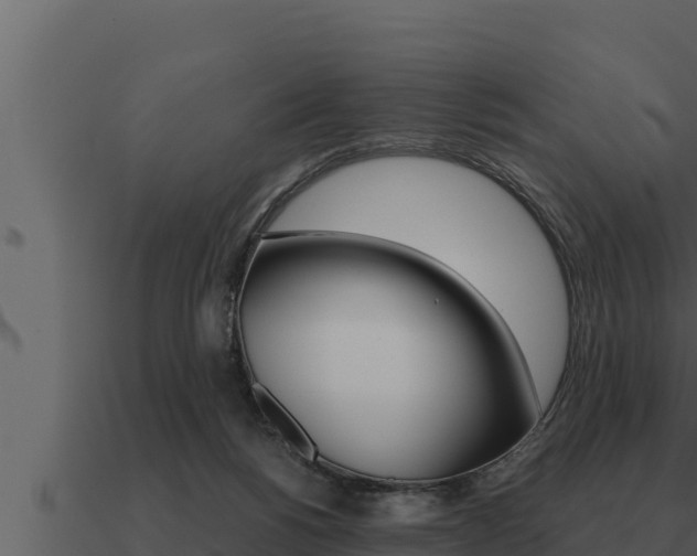 X0000091100168200708061030