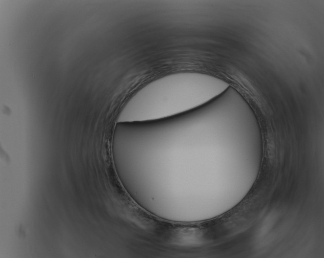 X0000091100169200708061030