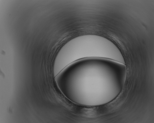 X0000091100170200708061030