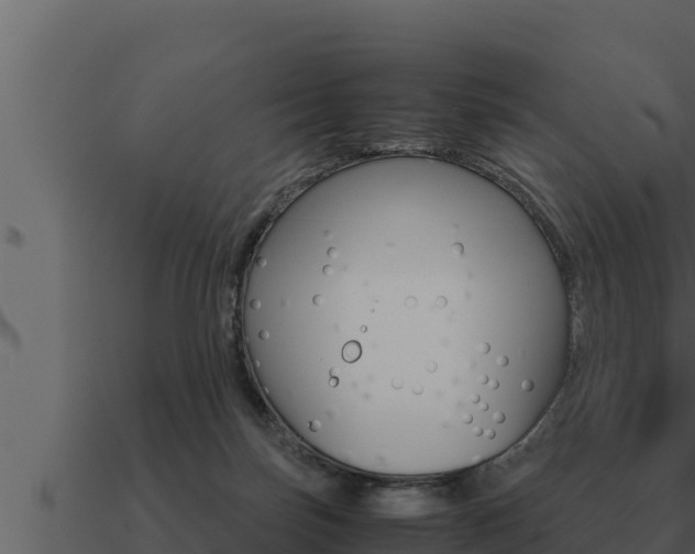 X0000091100171200708061030