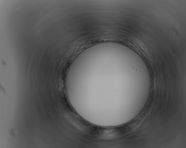 X0000091100173200708061030