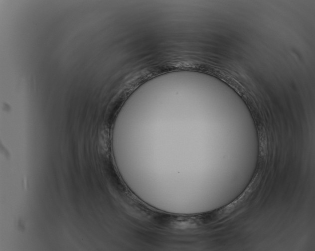 X0000091100175200708061030