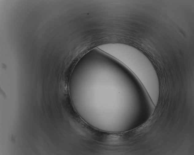 X0000091100176200708061030