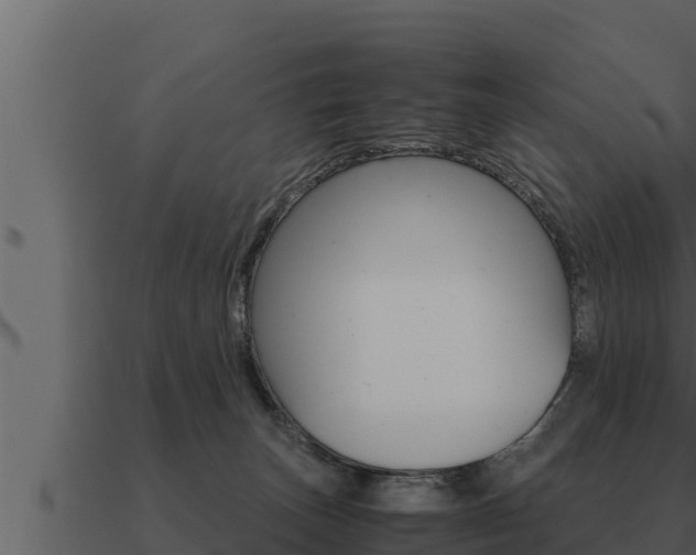 X0000091100179200708061030