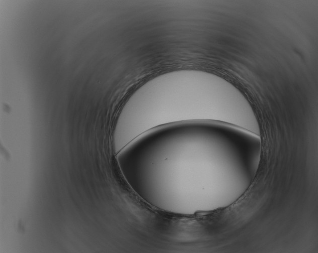 X0000091100180200708061030