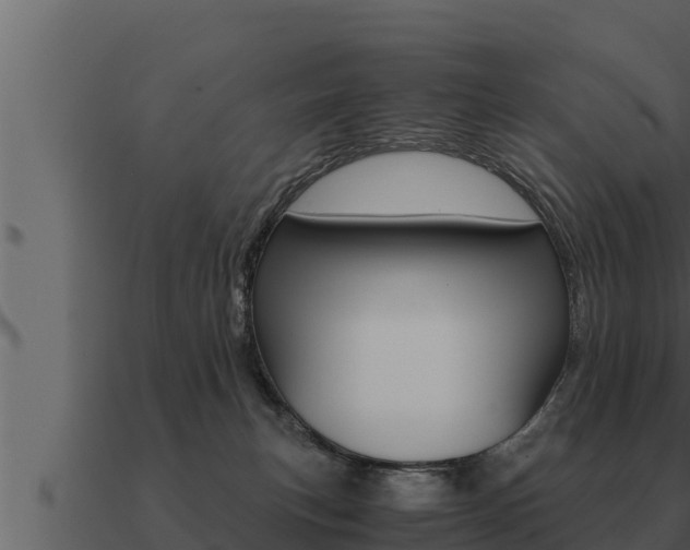 X0000091100183200708061030