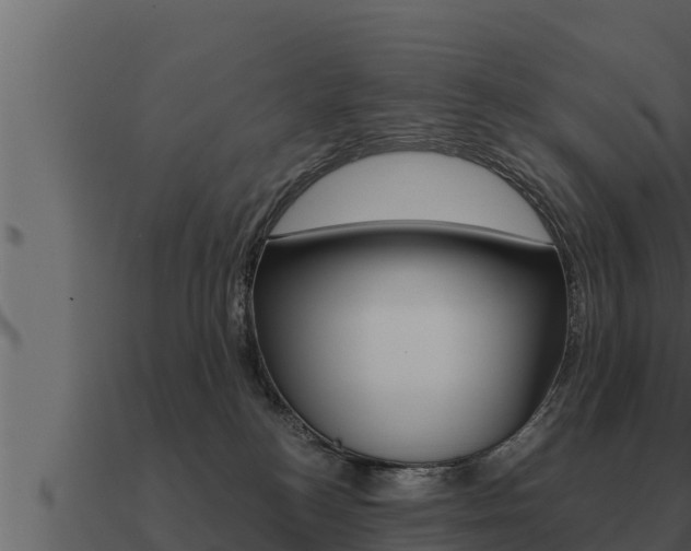 X0000091100184200708061030