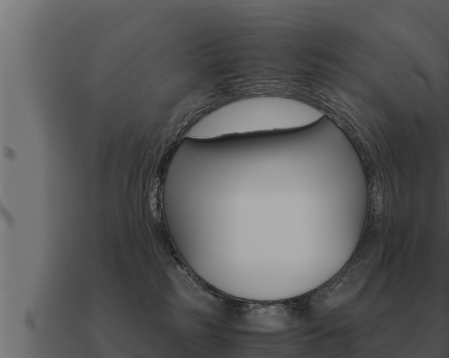 X0000091100185200708061030