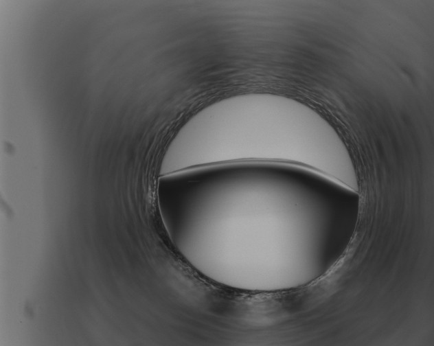 X0000091100186200708061030