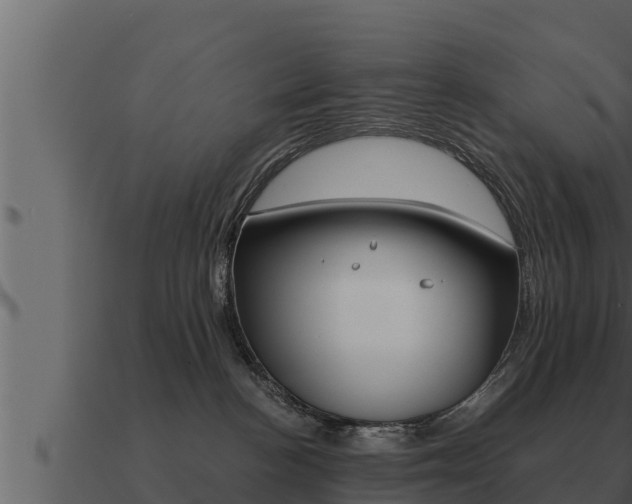 X0000091100188200708061030