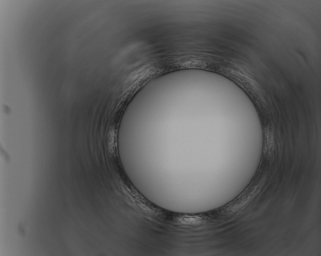 X0000091100189200708061030