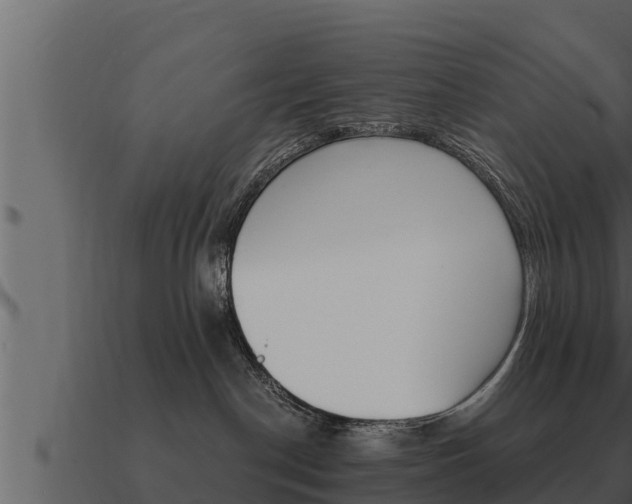 X0000091100190200708061030