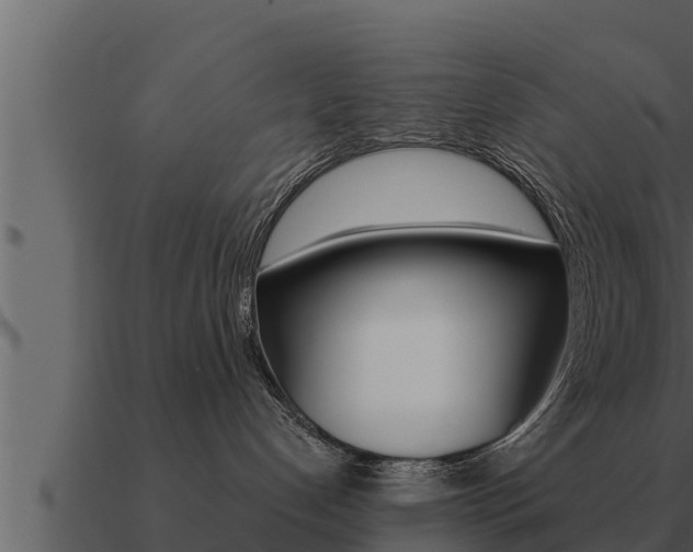 X0000091100192200708061030