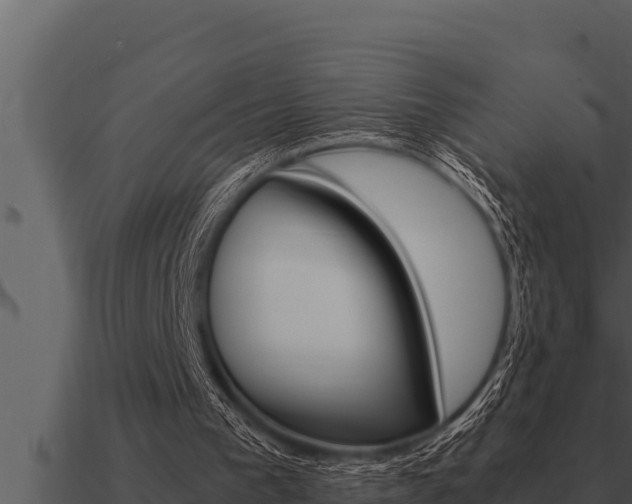 X0000091100193200708061030