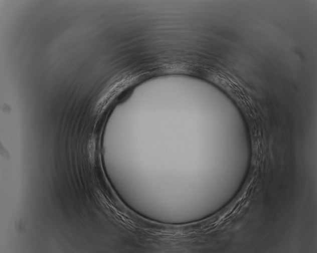 X0000091100194200708061030