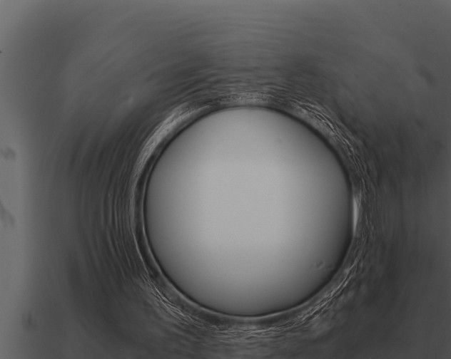 X0000091100195200708061030