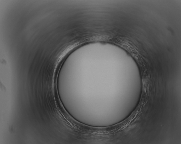 X0000091100196200708061030