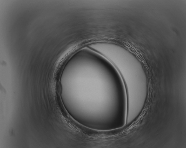 X0000091100197200708061030