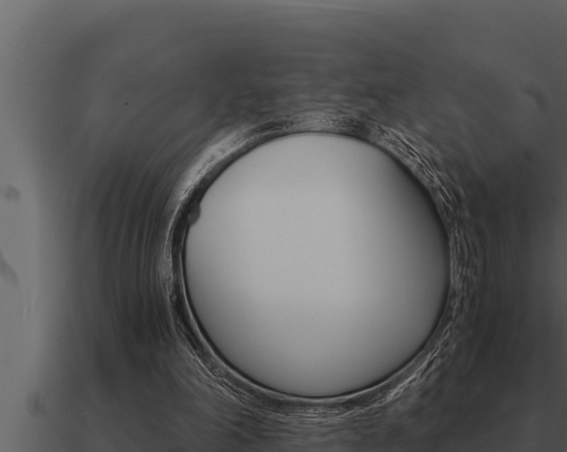 X0000091100198200708061030