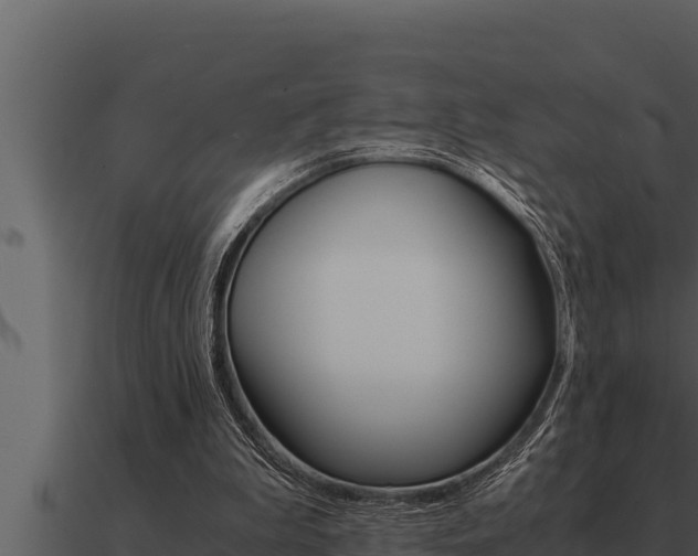 X0000091100199200708061030