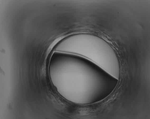 X0000091100200200708061030