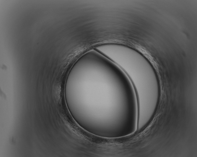 X0000091100201200708061030