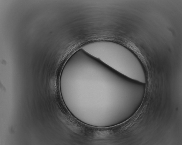 X0000091100202200708061030