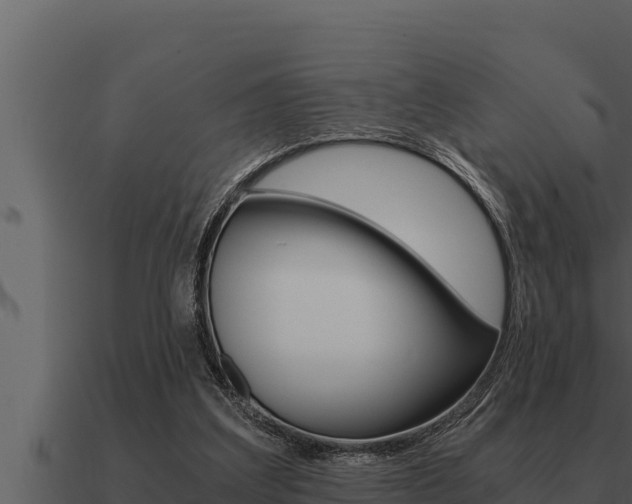 X0000091100203200708061030