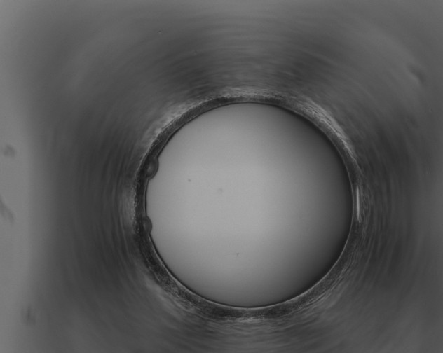 X0000091100204200708061030