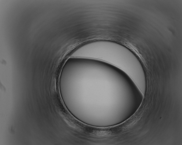 X0000091100205200708061030