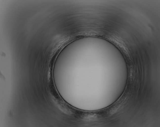 X0000091100206200708061030