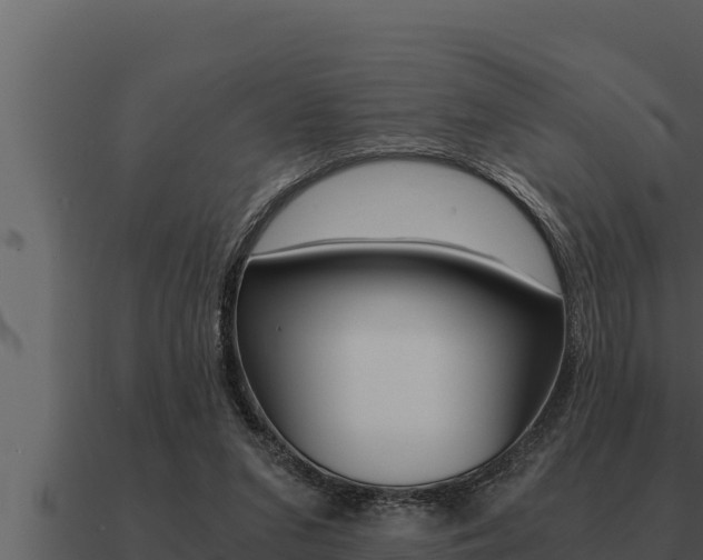 X0000091100207200708061030