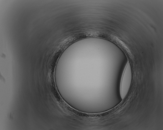 X0000091100209200708061030