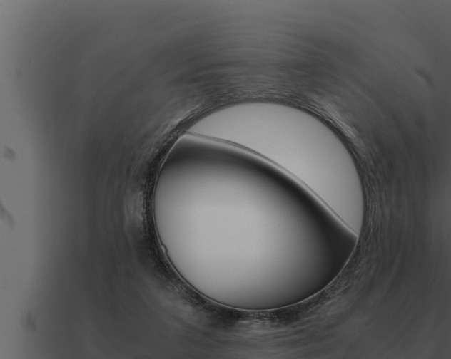 X0000091100211200708061030