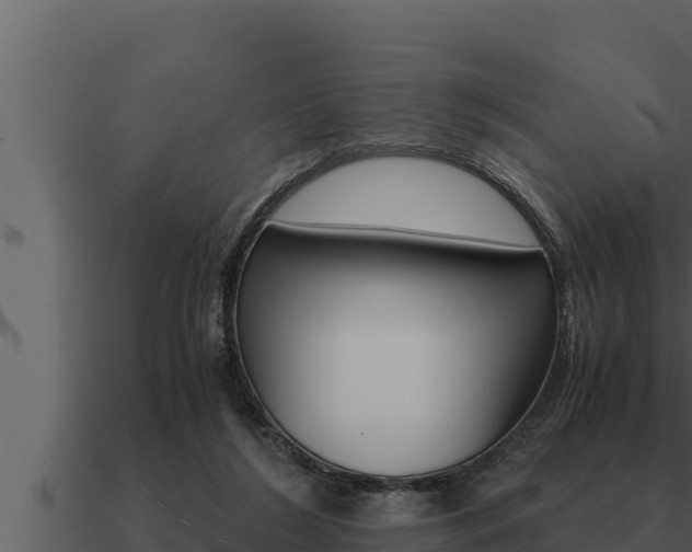 X0000091100212200708061030