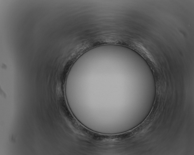 X0000091100213200708061030