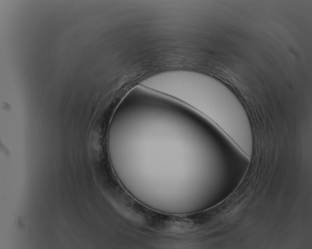 X0000091100215200708061030