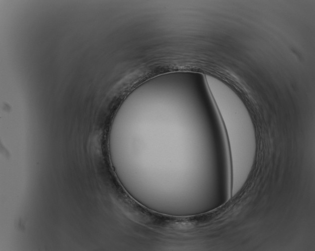 X0000091100217200708061030