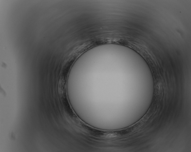 X0000091100218200708061030