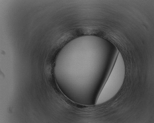 X0000091100219200708061030