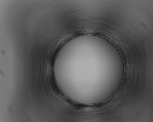 X0000091100220200708061030