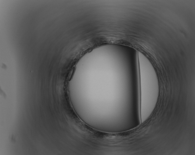 X0000091100221200708061030